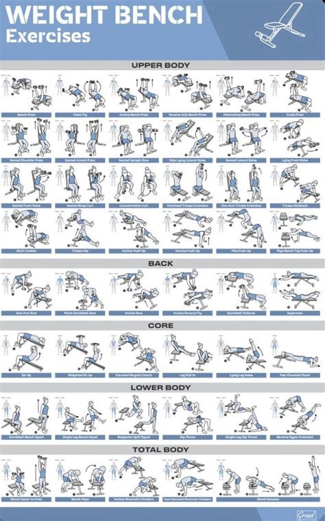 Workout Routines and Exercises